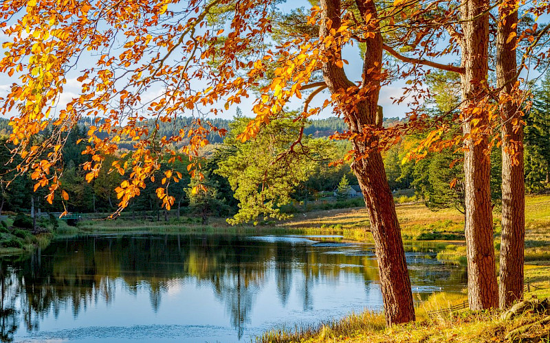 Bilder- und Musikvortrag "Indian Summer"