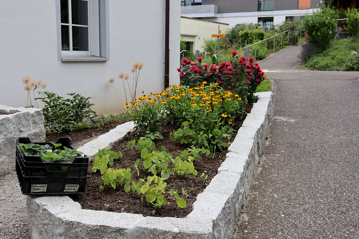 Heilsames Arbeiten im Therapiegarten