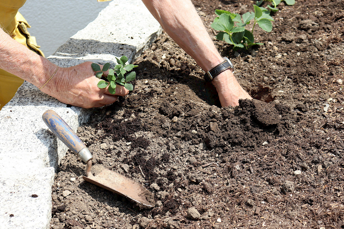Heilsames Arbeiten im Therapiegarten
