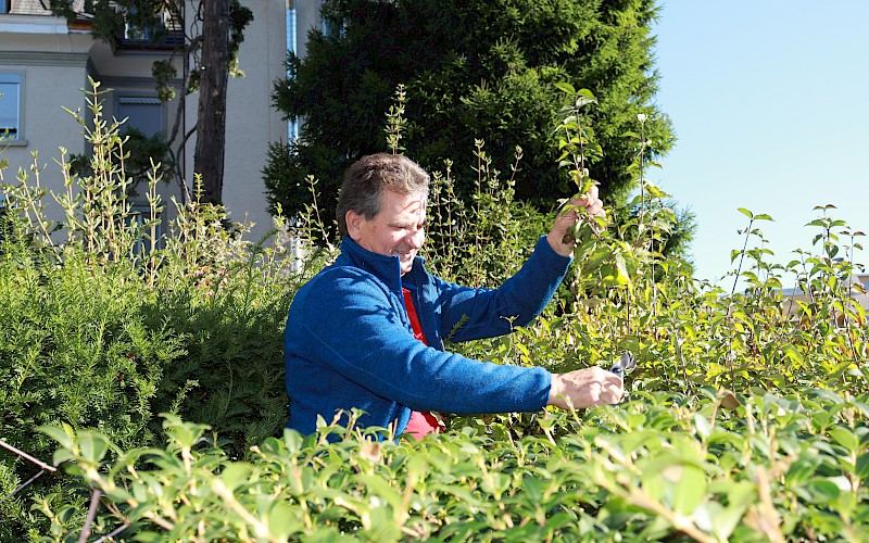 Ein Tag im Leben von…