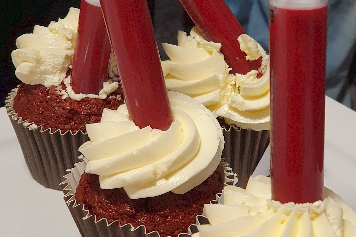 Berufswahlmarkt in Horgen