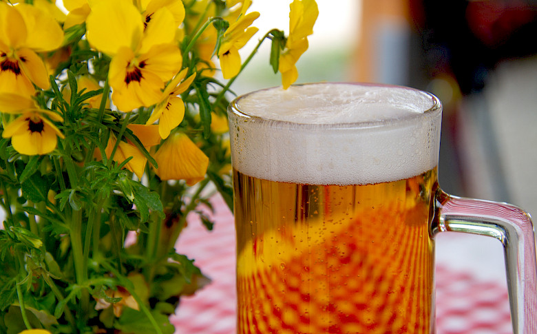 Das Haus Tabea lädt Bewohnende und Angehörige zum Oktoberfest